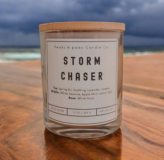 Storm Chaser Soy Candle